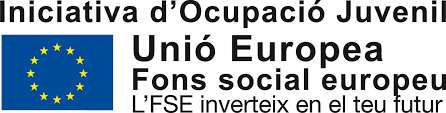 fons social europeu iniciativa d'ocupacio juvenil