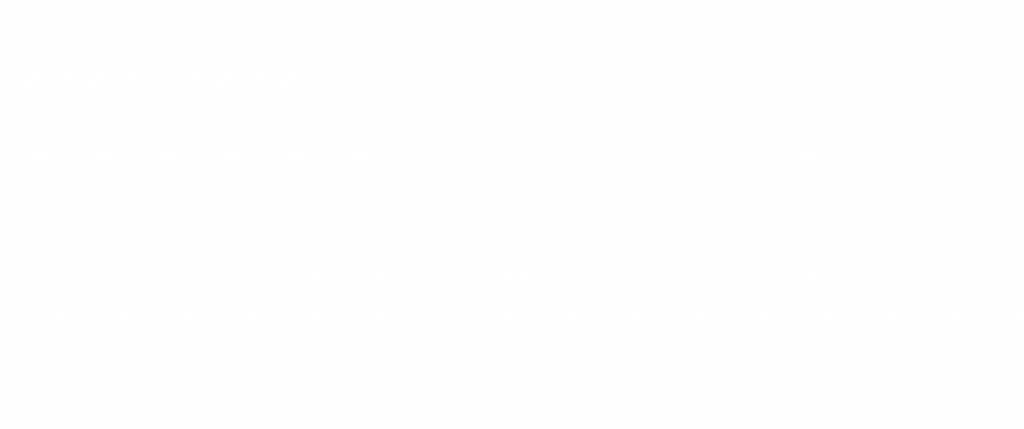 Logo Fundacio SERGI en blanc