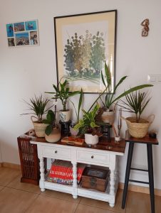 Racó íntim d'un habitatge social d'una dona supervivent a la violència masclista