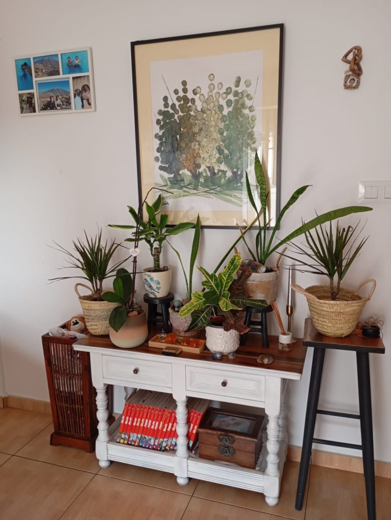 Racó íntim d'un habitatge social d'una dona supervivent a la violència masclista