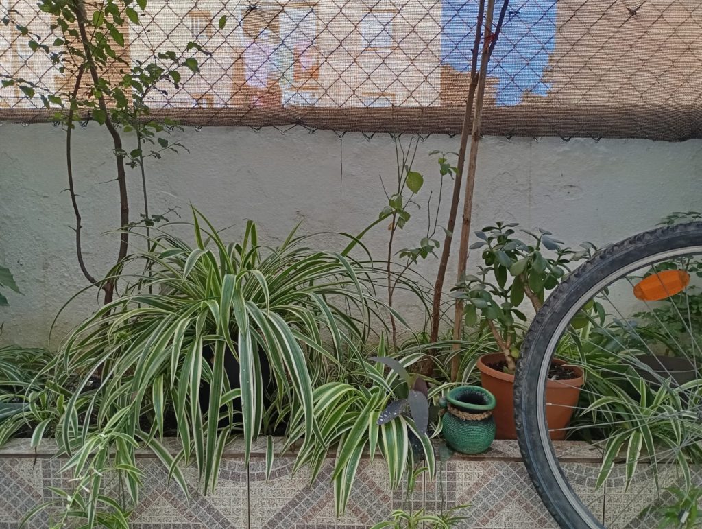 Racó íntim d'un habitatge social d'una dona supervivent a la violència masclista