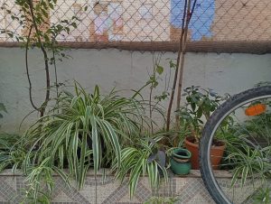 Racó íntim d'un habitatge social d'una dona supervivent a la violència masclista