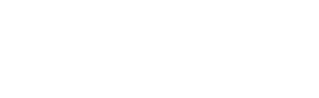 Fundacio SERGI
