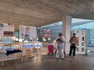 Tolerància 0: contra la Mutilació Genital Femenina