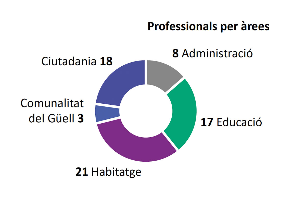 Equip Fundació SERGI 2025